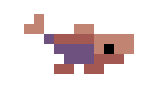 Little Fish C